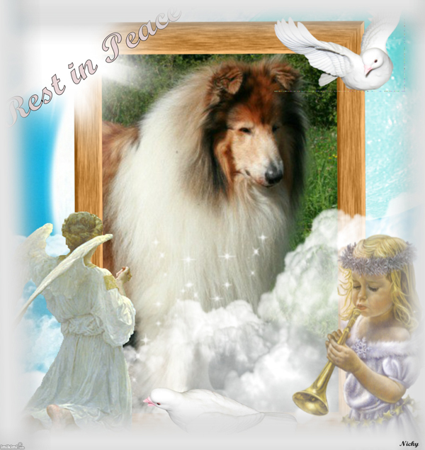 user posted image