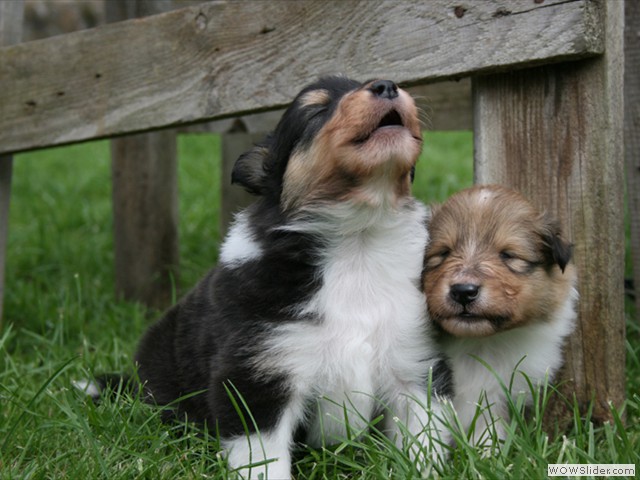 Xandie und Xenia