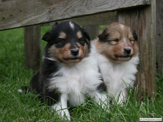 Xandie und Xenia